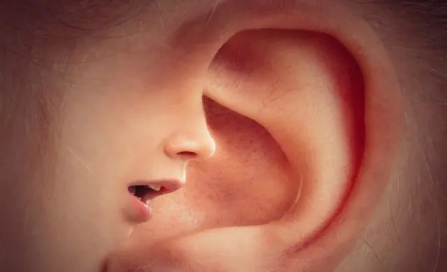 Il futuro della ricerca: dall’omnibox agli assistenti virtuali basati sull’intelligenza artificiale