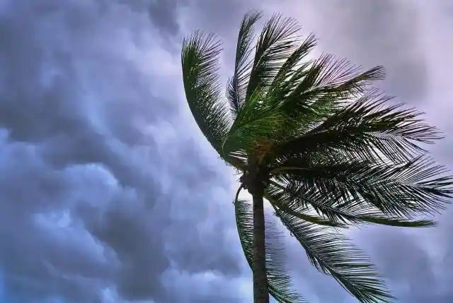 Connessioni e differenze tra i significati di “Tempesta perfetta” e di “Combinato disposto”