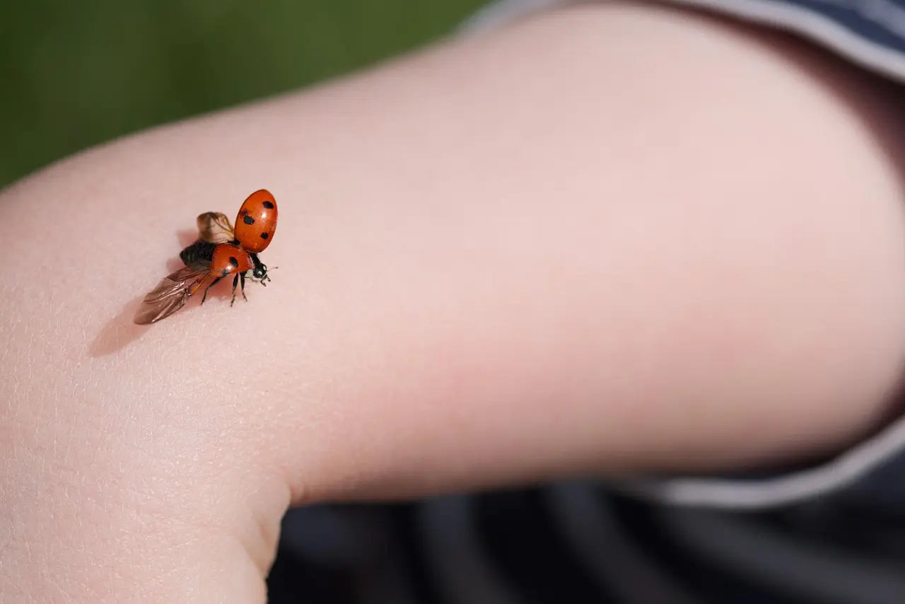 La fortuna siamo noi: trasformare contatti, curiosità e coraggio in vantaggio competitivo